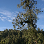 Img_1201_card