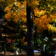 Img_8905a_card