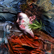 Oleander_flowers_card