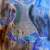 S8002327_tiny_square