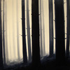 Visitors_thumb