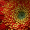 0037_thumb
