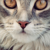 0049_thumb