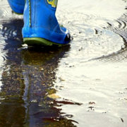 Wellies_card