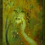 Lato_card