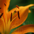 0027_tiny_square