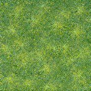 Green_starscape_2010_13x13-web_card