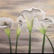 Calla_harmonia_card