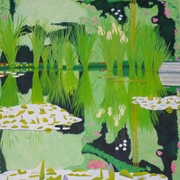 Pond1_card