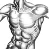 Anatomy_thumb