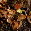_dsc6697_thumb