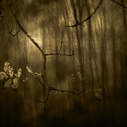 The_end_of_autumn_card