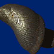 2690049_1__card