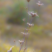 October_mild_card