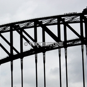 Bridge_walkers_card