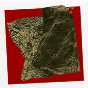 _107_card