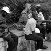 Jamaican-trio_thumb