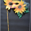 Sunflower_thumb