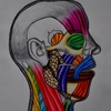 True_colors_thumb