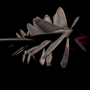 7096779_1__card