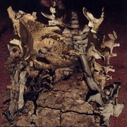 Altar_card