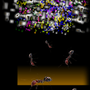 Kosmomravi_card