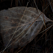 October_down_card