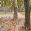 Dscf0216_thumb