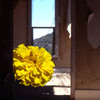 Fannyhill_l_thumb