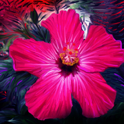 Painting_card