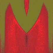 350922053509_0_0_card