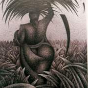 Harvest_card