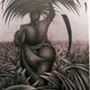 Harvest_thumb