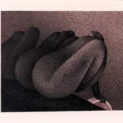 Seagulls_card