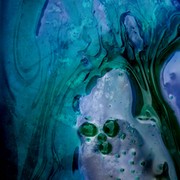 Img_5339vbf_card