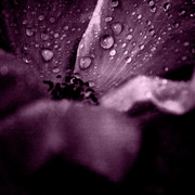 Img_6418pbwpi_card