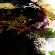 Revolution_9_card