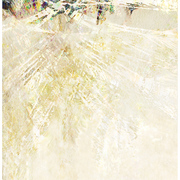 Scal-beverly_hills_card