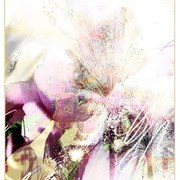 Scal-santamonica_card