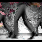 Walk_card