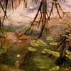 _dsc3866_thumb