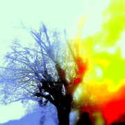 ______2741_card