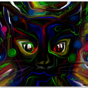 Un_gatto_nel_blu_card