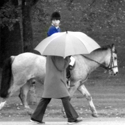 Dscn6645_card
