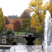 Dscn6597_card
