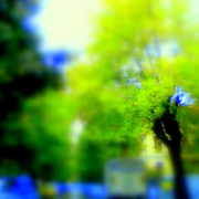 ______2736_card