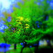 ______2793_card
