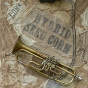 Hybrid_seed_corn_card