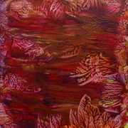 Hpim0291_card