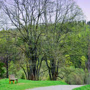 Springtime_1_web_card